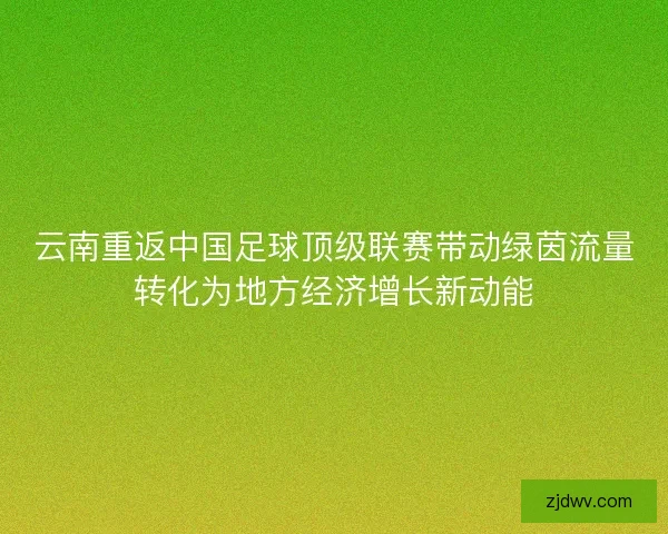云南重返中国足球顶级联赛带动绿茵流量转化为地方经济增长新动能