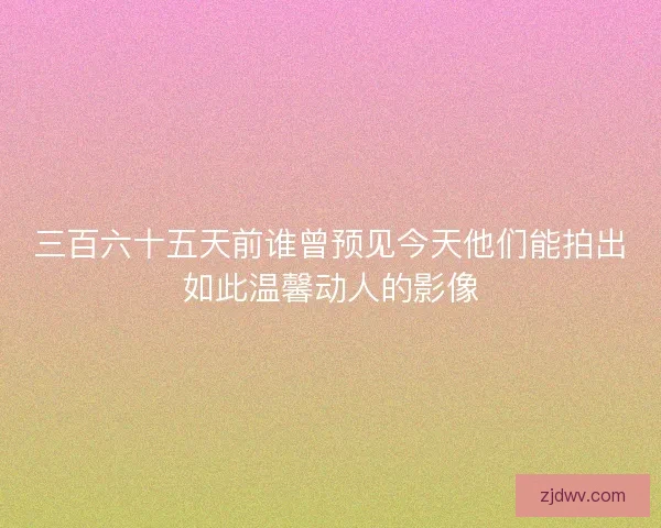 三百六十五天前谁曾预见今天他们能拍出如此温馨动人的影像