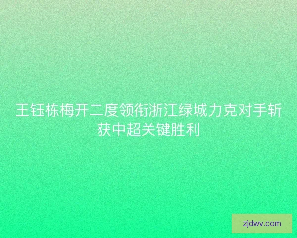 王钰栋梅开二度领衔浙江绿城力克对手斩获中超关键胜利 王钰栋梅开二度领衔浙江绿城力克对手斩获中超关键胜利